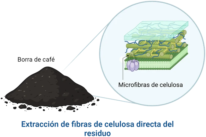 Microfibras de celulosa asociadas a la investigación original